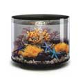 Oase biOrb TUBE 35 LED black - 35 literes henger akvárium szett fekete Oase biOrb TUBE 35 LED black - 35 literes henger akvárium szett fekete